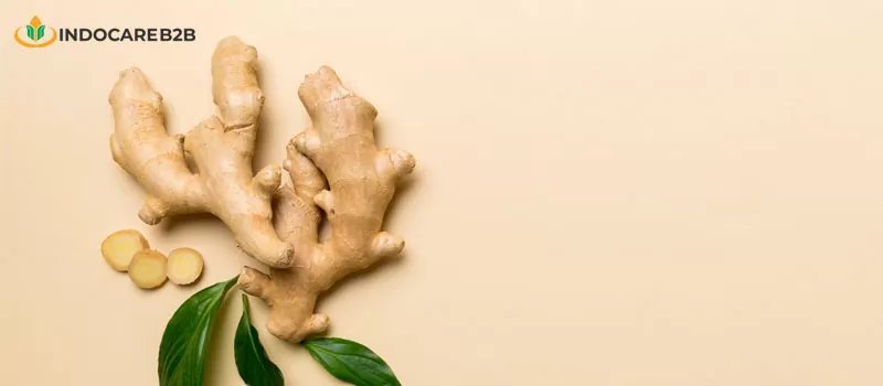 Manfaat Jahe untuk Kesehatan