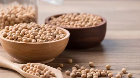 Manfaat Soy Extract untuk Kesehatan