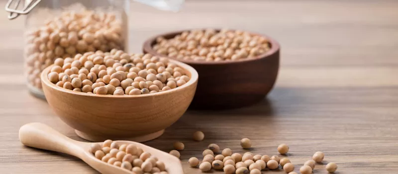 Manfaat Soy Extract untuk Kesehatan